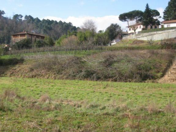 terreno agricolo in vendita a Camaiore