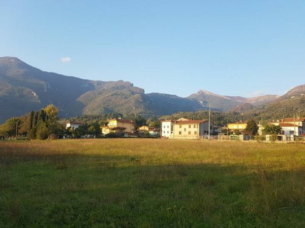 terreno agricolo in vendita a Camaiore