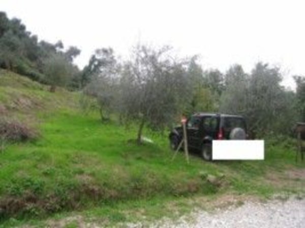 terreno agricolo in vendita a Camaiore