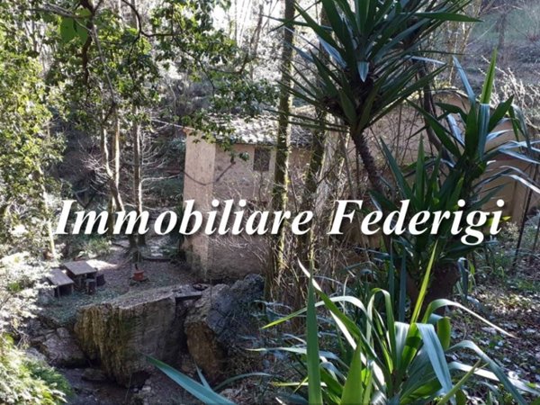 casa indipendente in vendita a Camaiore