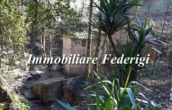 casale in vendita a Camaiore