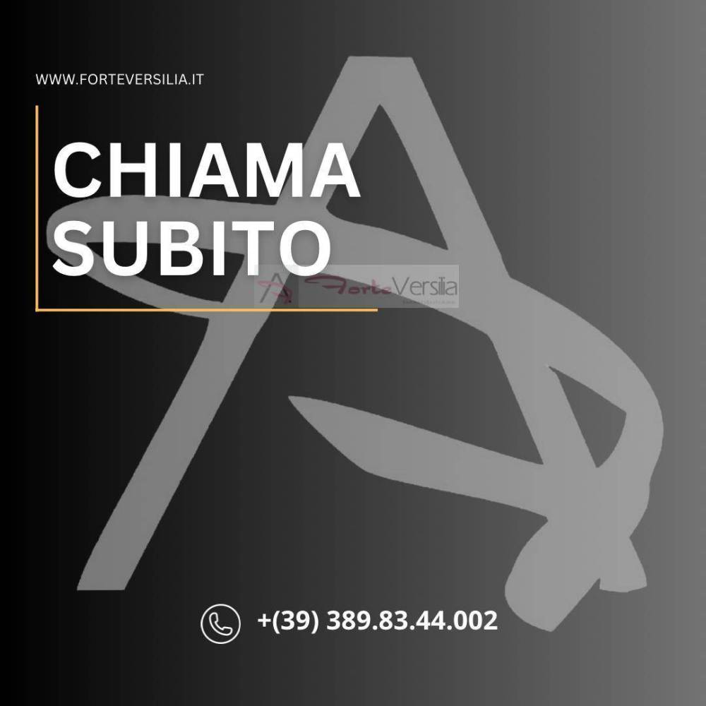 negozio in vendita a Camaiore