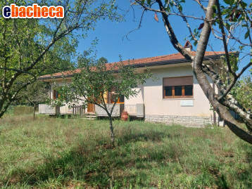 casa indipendente in vendita a Camaiore
