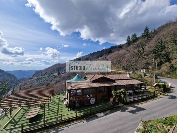 negozio in vendita a Camaiore in zona Casoli