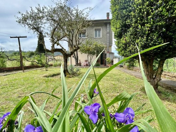 casa indipendente in vendita a Camaiore in zona Lido di Camaiore