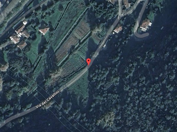 terreno agricolo in vendita a Camaiore