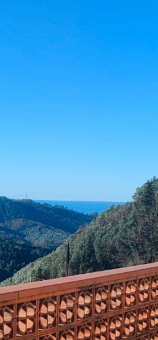 casa indipendente in vendita a Camaiore in zona Torcigliano
