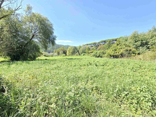 terreno agricolo in vendita a Camaiore