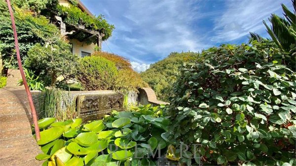 casa indipendente in vendita a Camaiore in zona Monteggiori