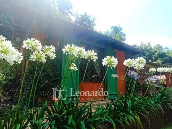 casa indipendente in vendita a Camaiore in zona Santa Lucia