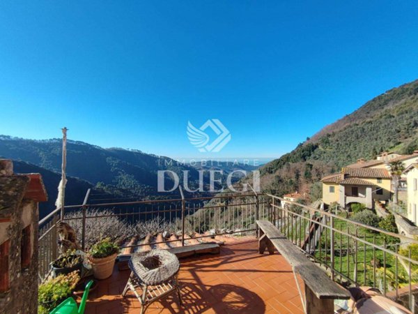 intera palazzina in vendita a Camaiore in zona Torcigliano