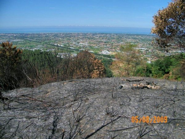 casa indipendente in vendita a Camaiore in zona Pedona