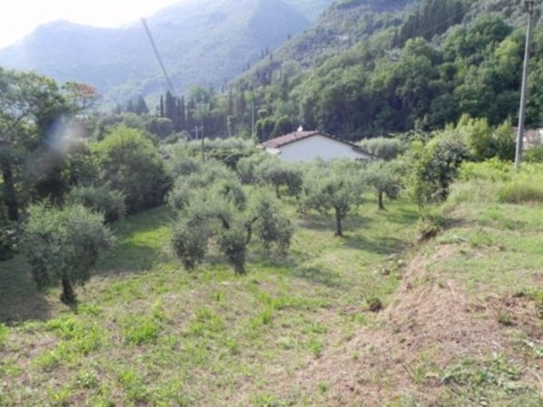 terreno agricolo in vendita a Camaiore in zona Casoli