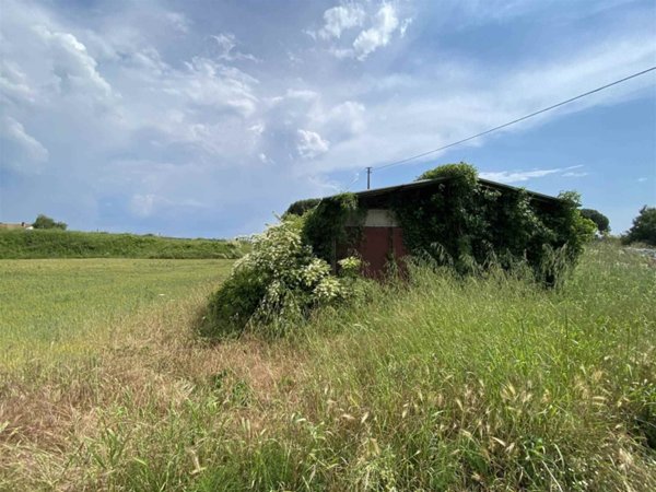 terreno agricolo in vendita a Camaiore