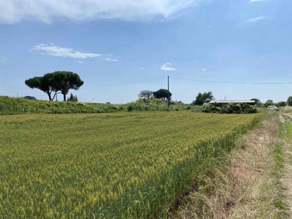 terreno agricolo in vendita a Camaiore