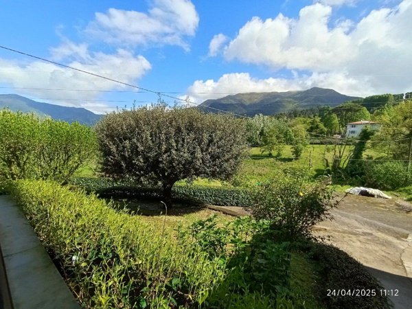 casa indipendente in vendita a Camaiore in zona Pontemazzori