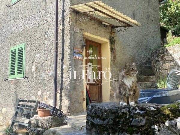 casa indipendente in vendita a Camaiore in zona Casoli
