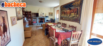 casa indipendente in vendita a Camaiore in zona Nocchi