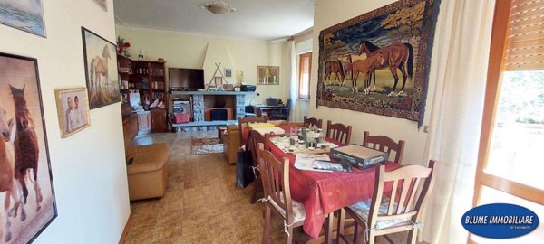 casa indipendente in vendita a Camaiore in zona Nocchi