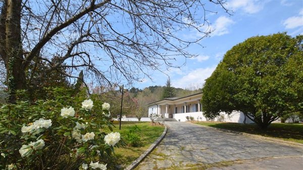 casa indipendente in vendita a Camaiore in zona Nocchi