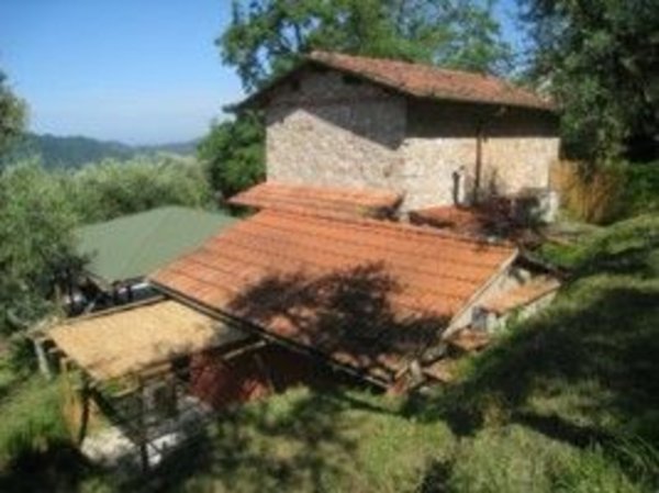 pentavano in vendita a Camaiore in zona Casoli