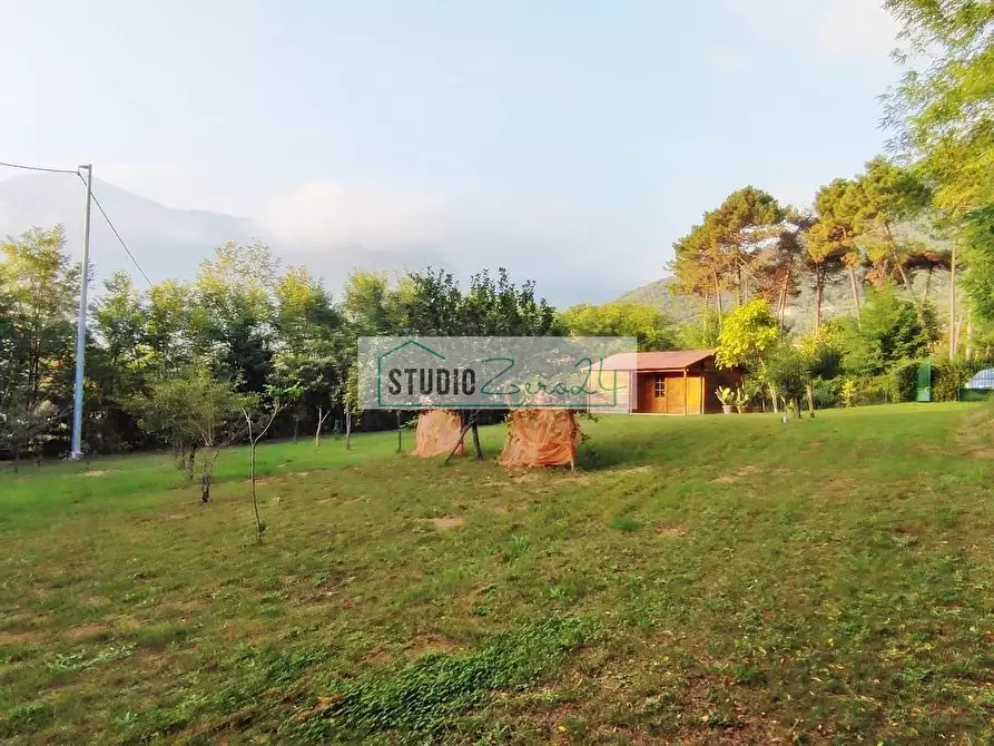 terreno agricolo in vendita a Camaiore