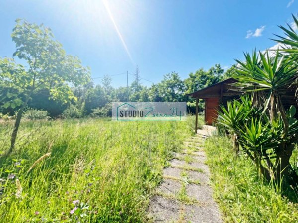 terreno agricolo in vendita a Camaiore