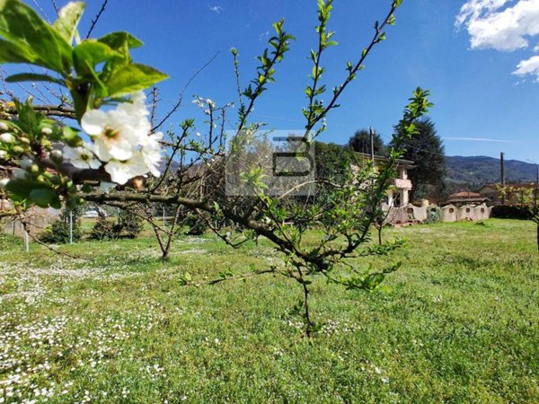 terreno agricolo in vendita a Camaiore in zona Lido di Camaiore