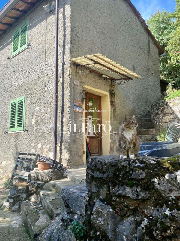 intera palazzina in vendita a Camaiore in zona Casoli