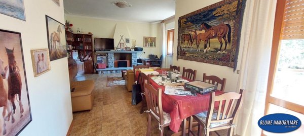 casa indipendente in vendita a Camaiore in zona Nocchi