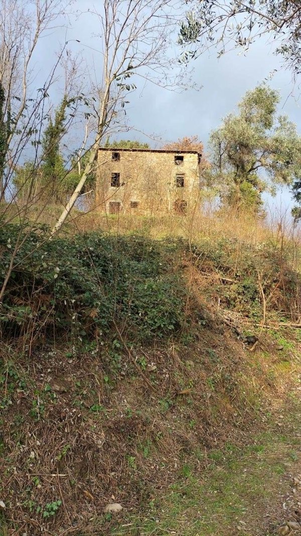 pentavano in vendita a Camaiore in zona Pedona