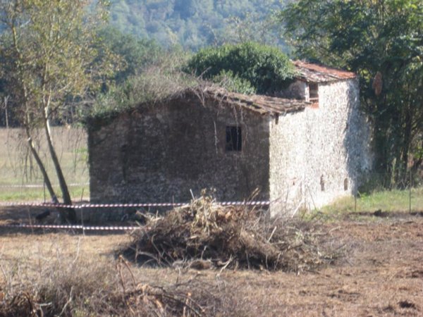 casa indipendente in vendita a Camaiore in zona Orbicciano