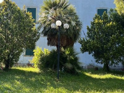 appartamento in vendita a Camaiore