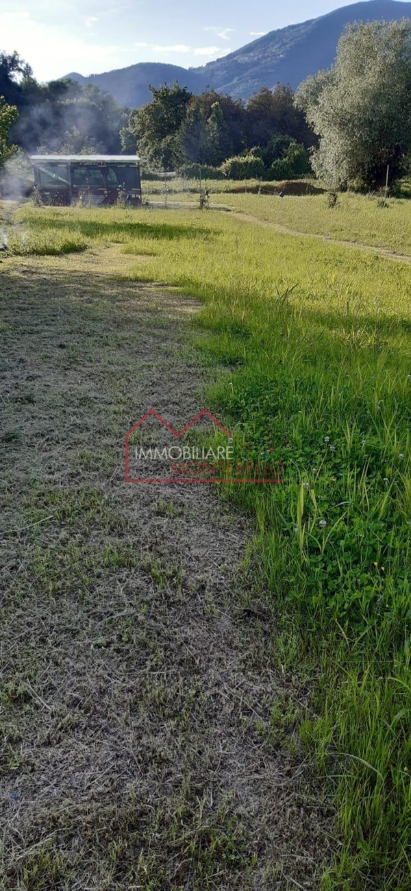 terreno agricolo in vendita a Camaiore
