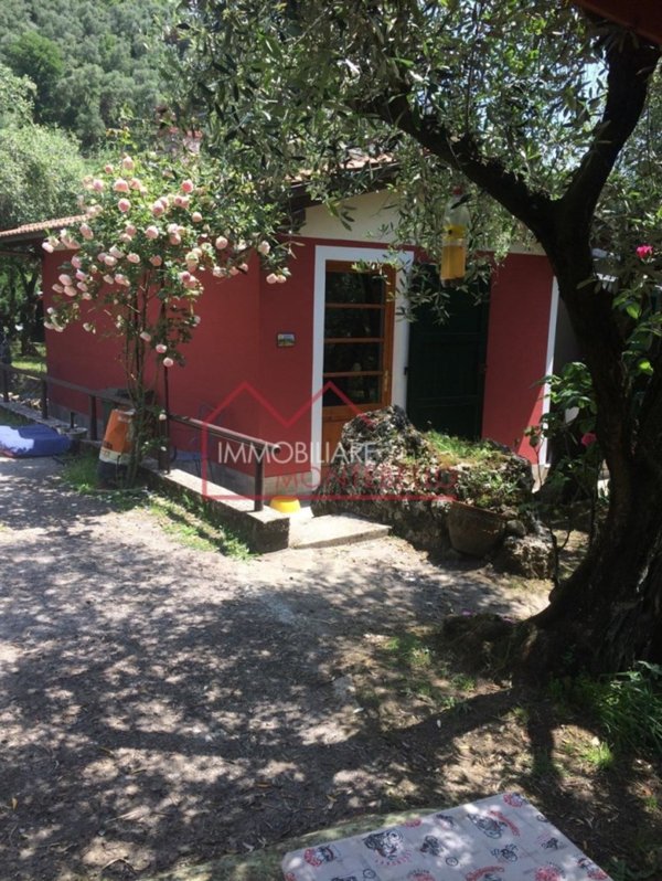 terreno agricolo in vendita a Camaiore in zona Montebello