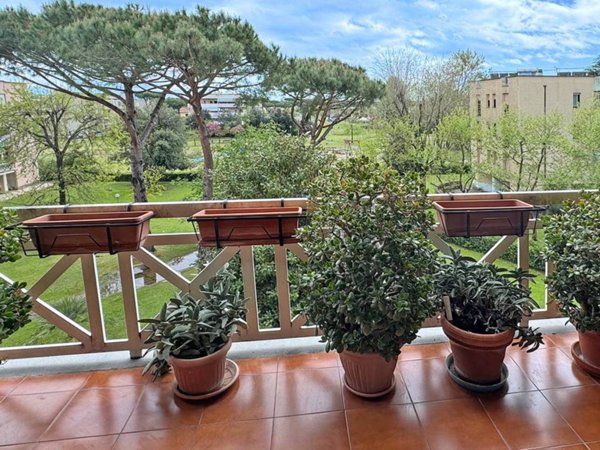 appartamento in vendita a Camaiore