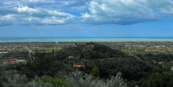 negozio in vendita a Camaiore