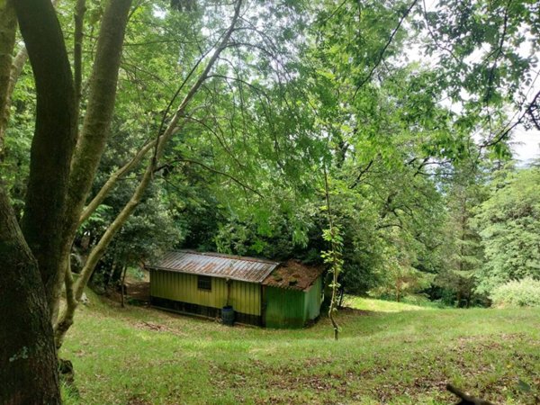 terreno agricolo in vendita a Camaiore
