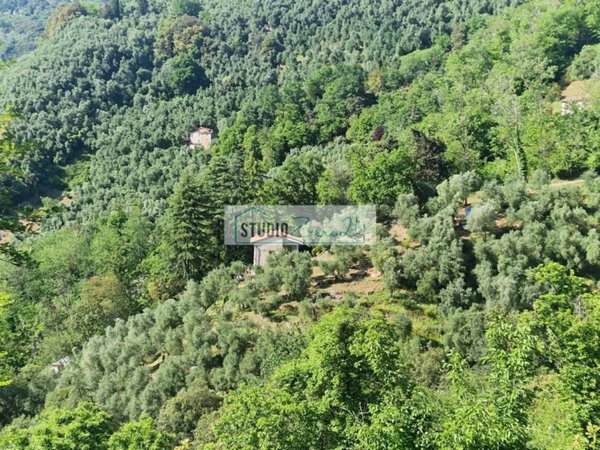 casa indipendente in vendita a Camaiore in zona Metato