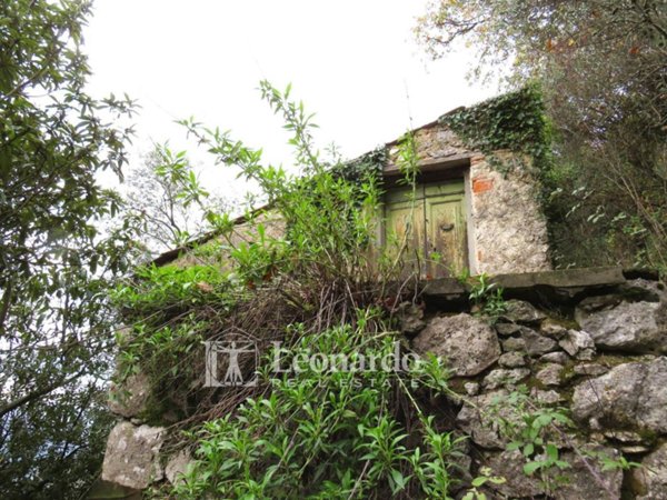 terreno agricolo in vendita a Camaiore in zona Greppolungo