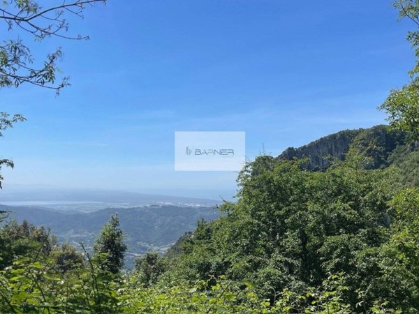 rudere in vendita a Camaiore in zona Casoli
