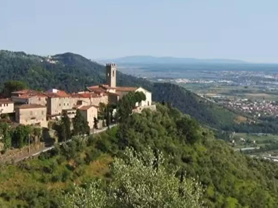 casa indipendente in vendita a Camaiore in zona Monteggiori
