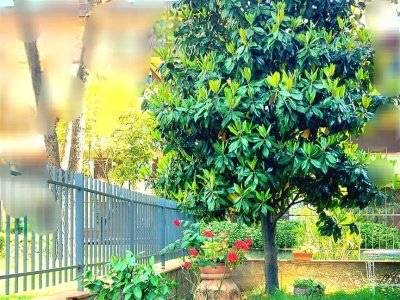 appartamento in vendita a Camaiore