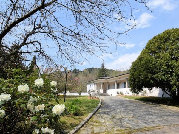 casa indipendente in vendita a Camaiore in zona Valpromaro