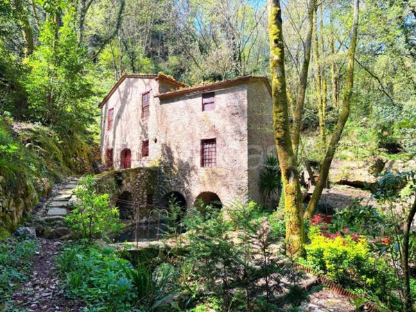 casa indipendente in vendita a Camaiore in zona Orbicciano