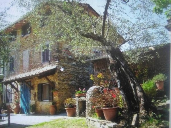 casa indipendente in vendita a Camaiore in zona Pontemazzori