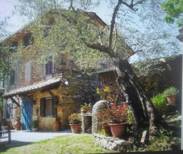 casa indipendente in vendita a Camaiore in zona Pontemazzori