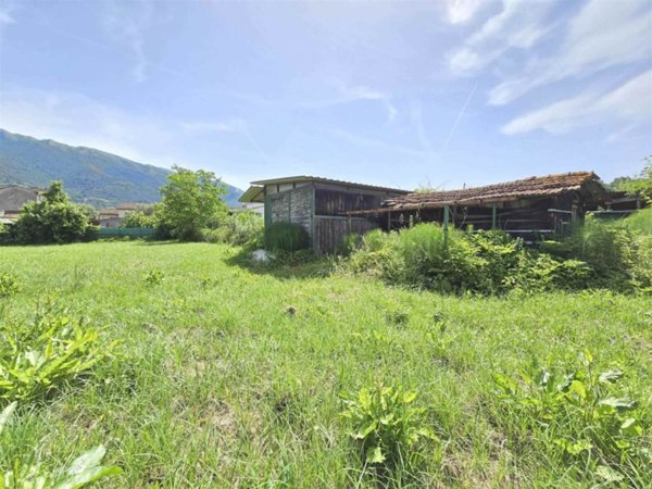 terreno agricolo in vendita a Camaiore