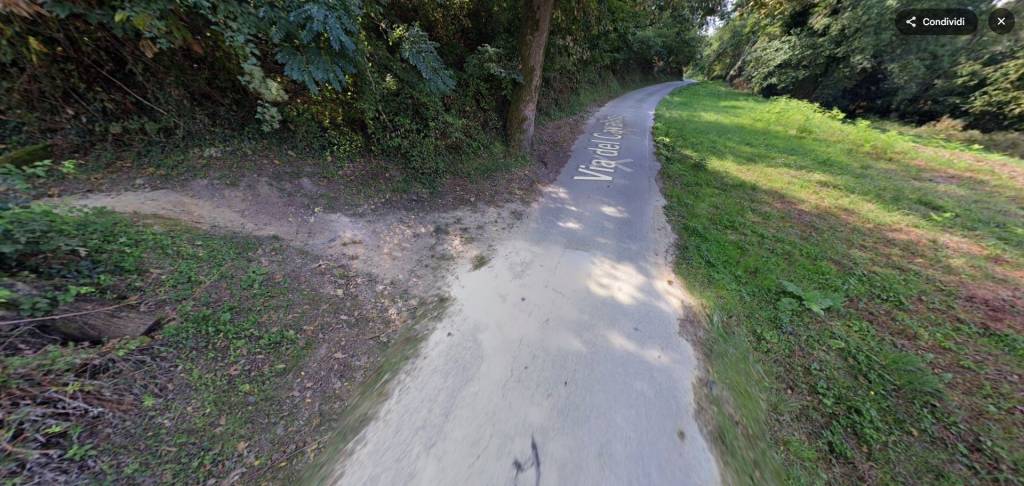 terreno agricolo in vendita a Camaiore