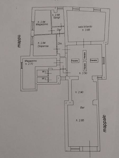 negozio in vendita a Camaiore